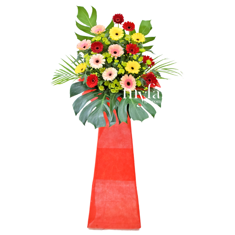 Brighter Start| Opening Fresh Flower Stand| Same Day Delivery