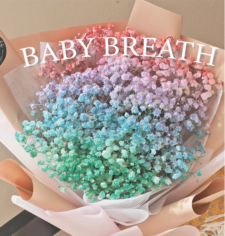 Baby Breath