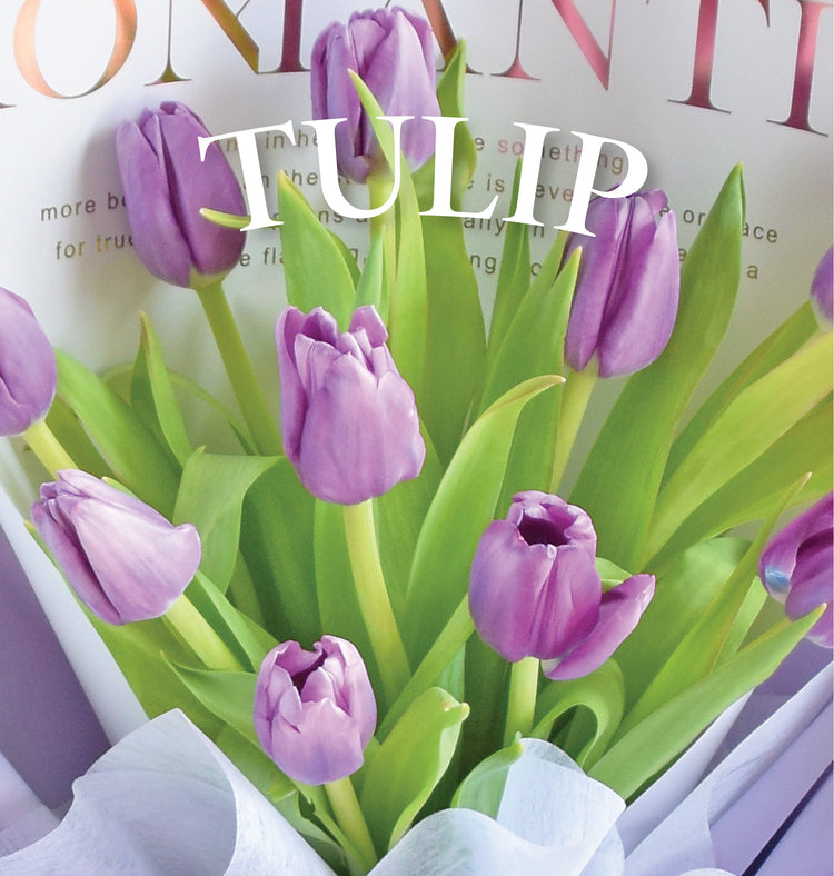 Tulips/ Imported Flowers