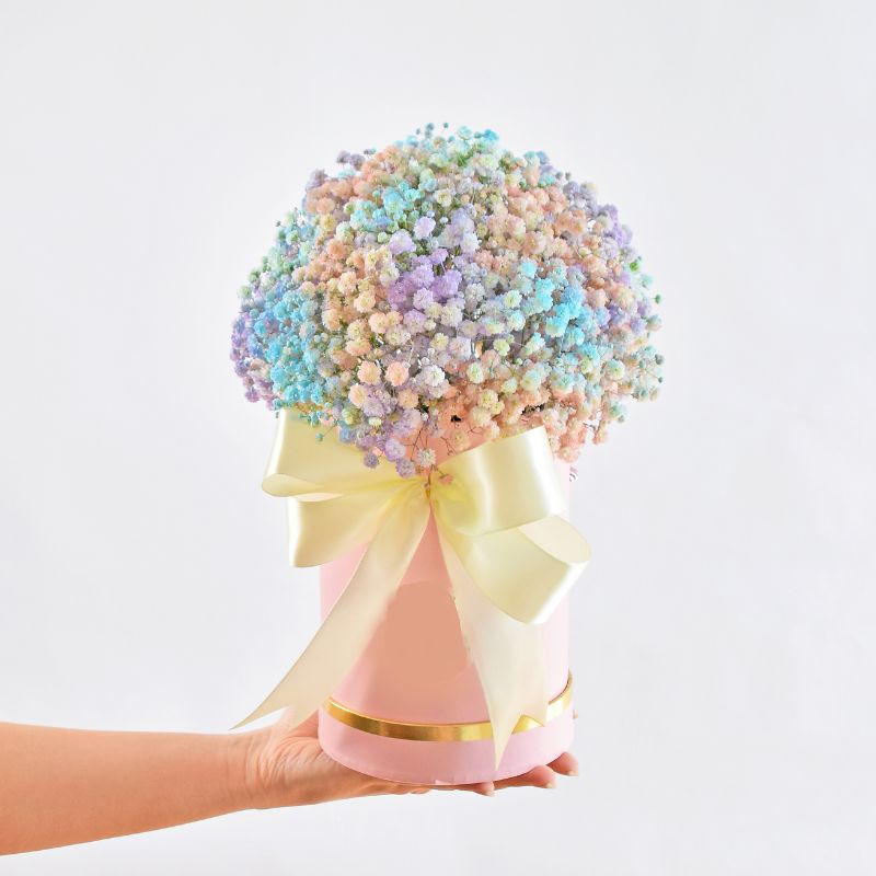 Becca| Colourful Baby Breath Bloom Box| Same Day Delivery