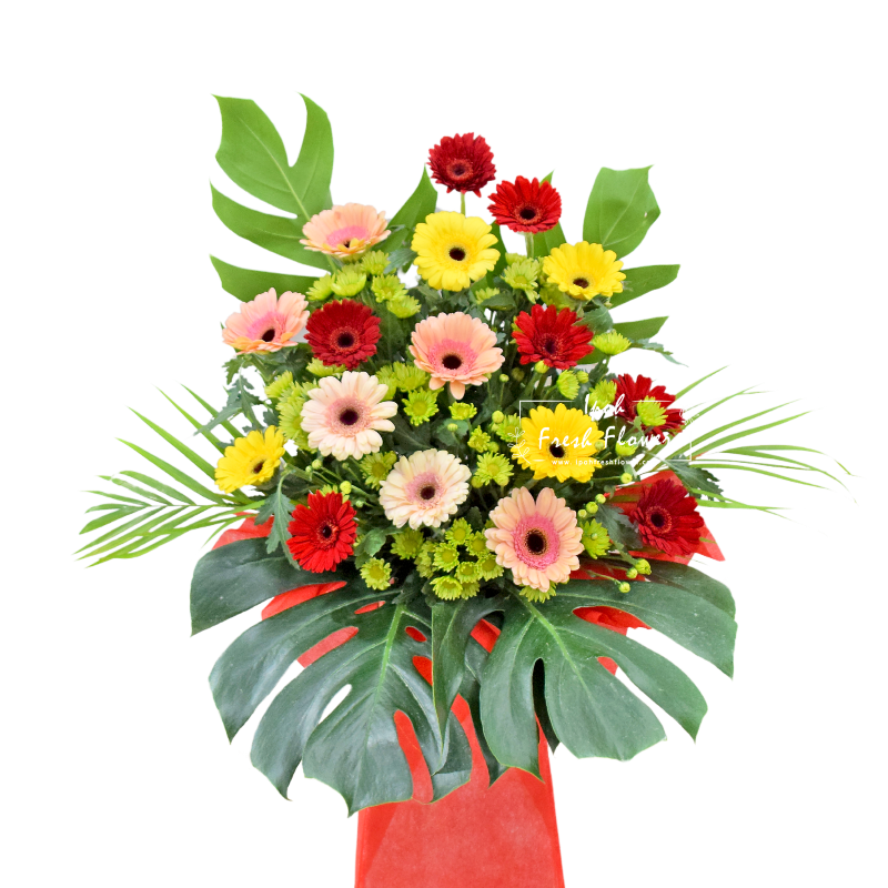 Brighter Start| Opening Fresh Flower Stand| Same Day Delivery