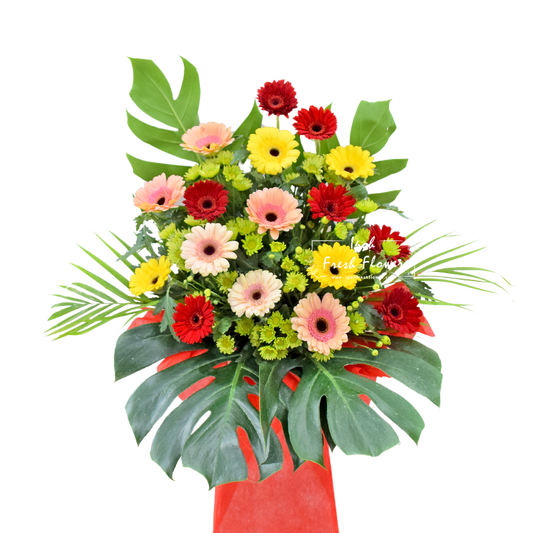 Brighter Start| Opening Fresh Flower Stand| Same Day Delivery