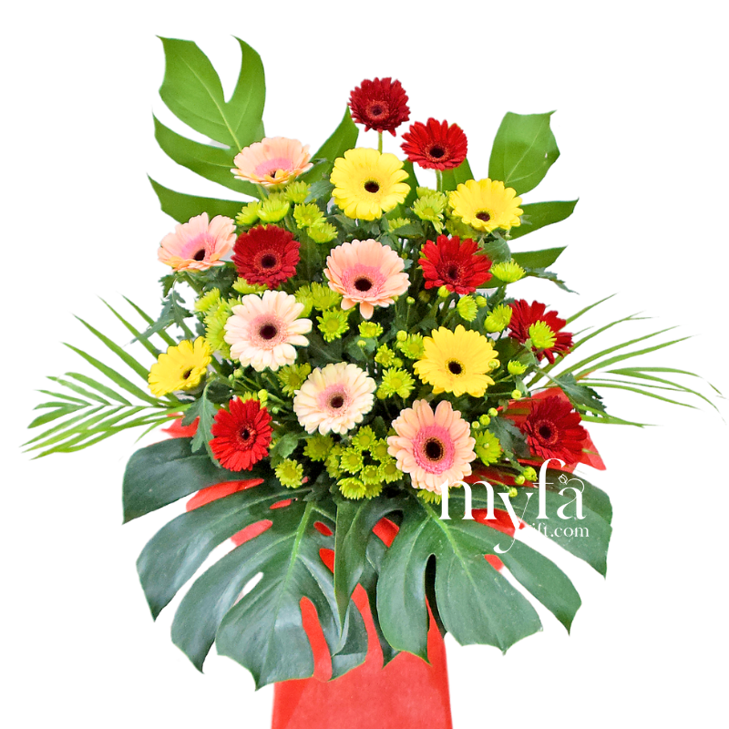 Brighter Start| Opening Fresh Flower Stand| Same Day Delivery