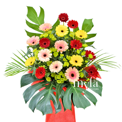 Brighter Start| Opening Fresh Flower Stand| Same Day Delivery