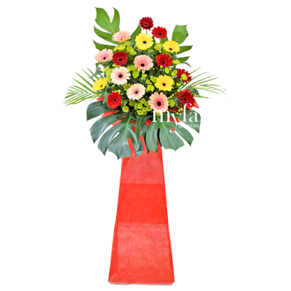 Brighter Start| Opening Fresh Flower Stand| Same Day Delivery