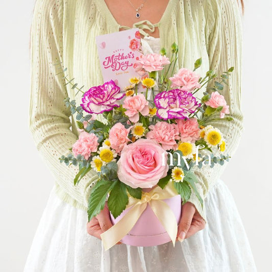 Everglow| Mother's Day Special| Same Day Delivery