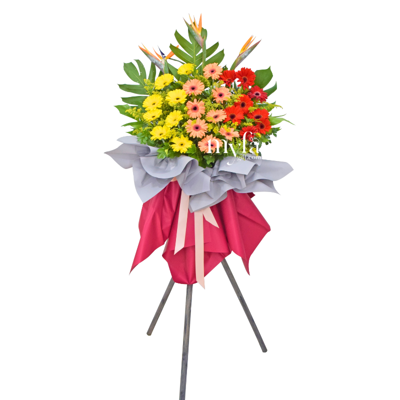 Joyful| Opening Fresh Flower Stand| Same Day Delivery