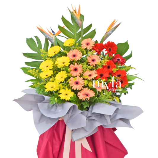 Joyful| Opening Fresh Flower Stand| Same Day Delivery