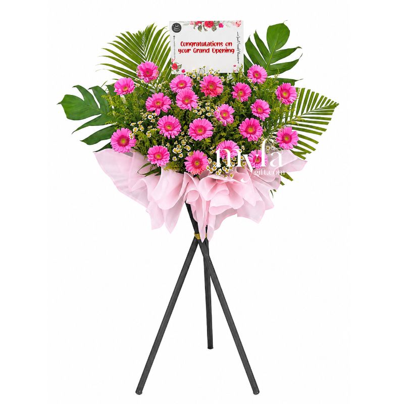 Fiery Success| Opening Fresh Flower Stand| Same Day Delivery