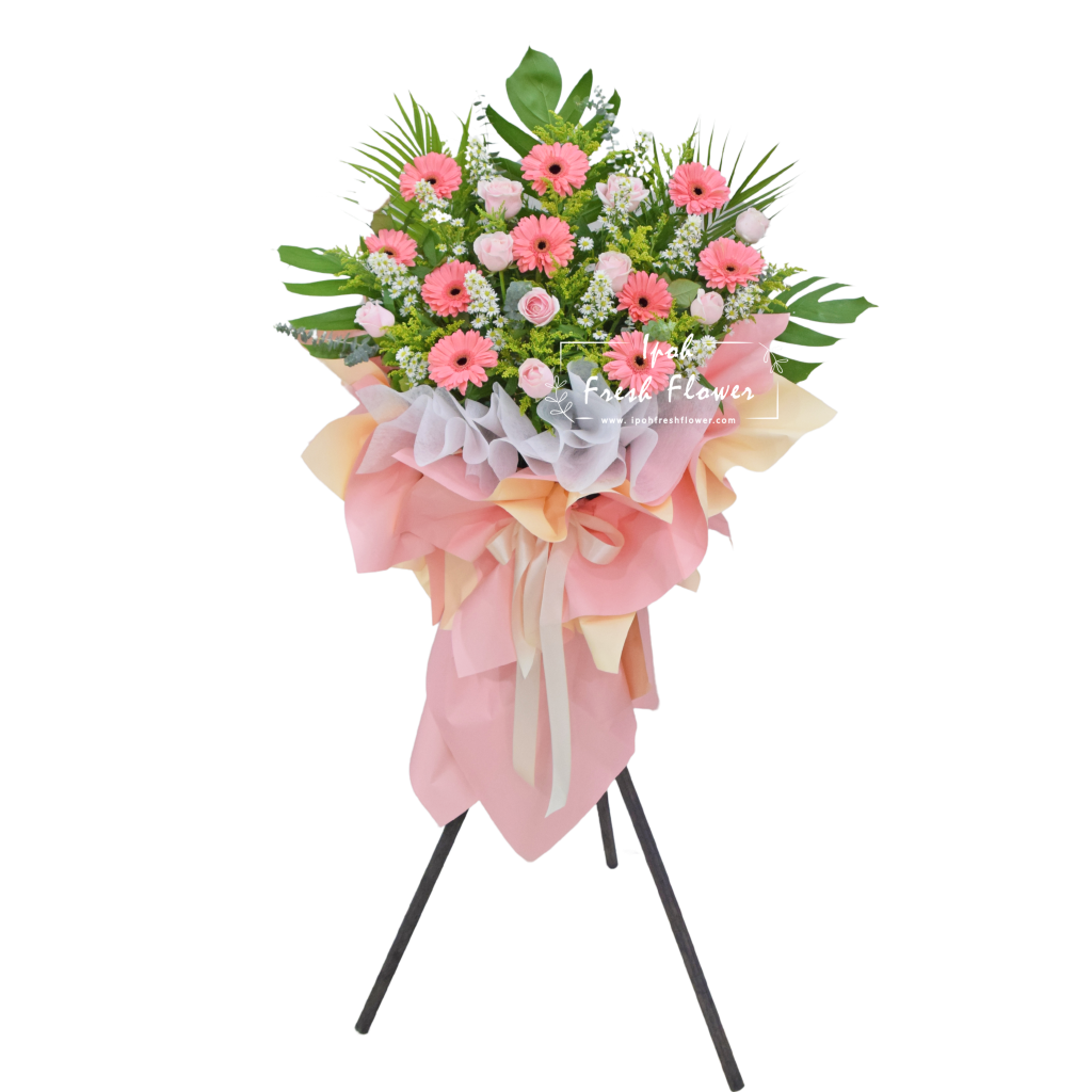 Marygold Blossom| Opening Fresh Flower Stand| Same Day Delivery