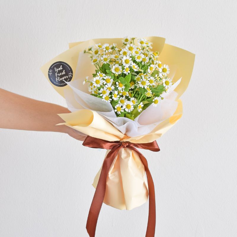 Mini Chamomile Bouquet| Fresh Flowers Below RM100| Same Day Delivery