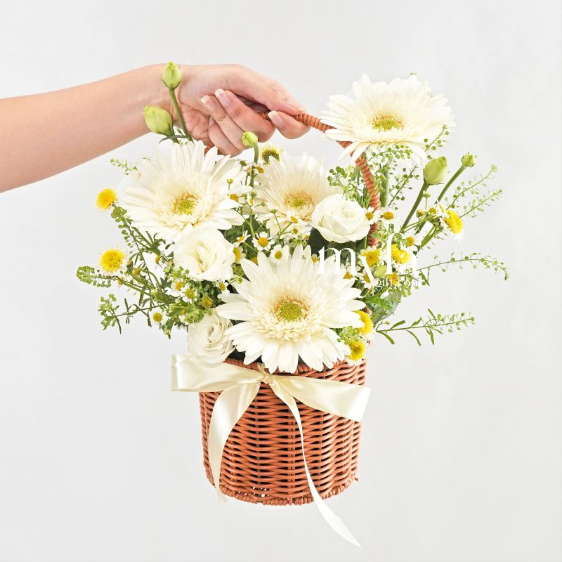 Pureness| Fresh Flower Basket| Same Day Delivery Taiping