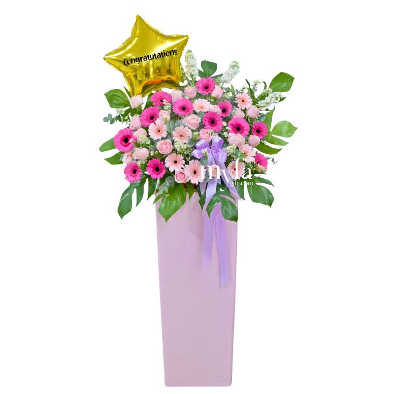 Star Performer | Fresh Flower Opening Stand| Same Day Delivery