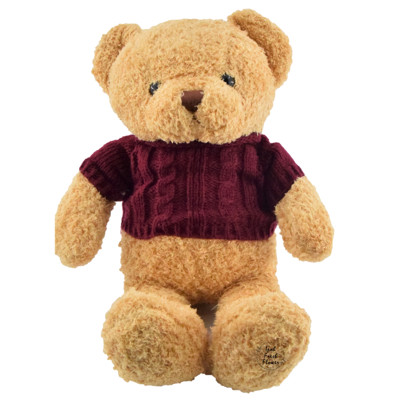 Teddy Bear with Sweater (Large)