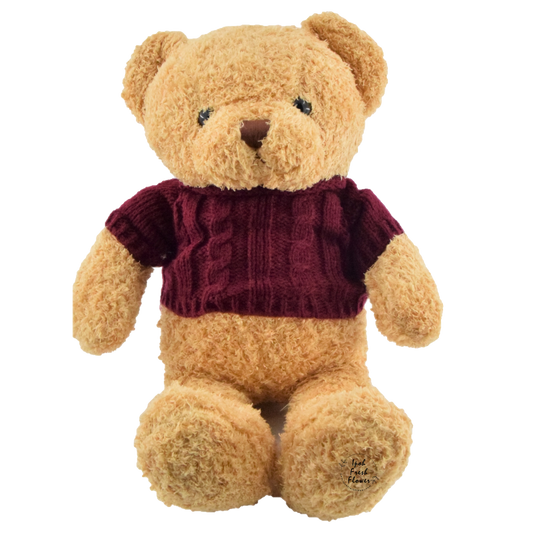 Teddy Bear with Sweater (Large)