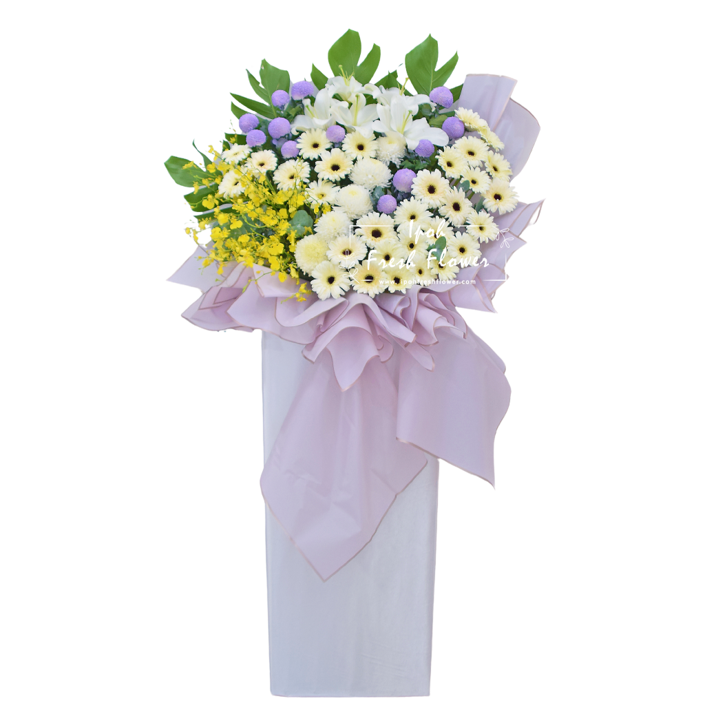 Treasure Memories | Premium Condolence Stand| Same Day Delivery